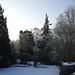 Fulbourn garden 2012-02-11 004