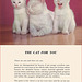 Kittens and Cats (4), 1957