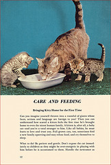 Kittens and Cats (5), 1957