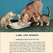 Kittens and Cats (5), 1957