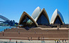Tag 40: Der Zaun am Sydney Opera House