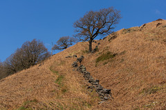 Path to Crowden Quarry