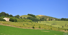 Hügellandschaft der Marke (© Buelipix)