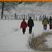 HFF-Walk--for everyone  24 -12-2021  -MERRY  CHRISTMAS HEALTHY 2022 !