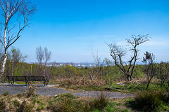 A bench with a view, Bidston Hill.