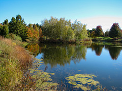 Autumn View of the Lake