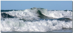 A Cornish Wave