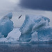 Iceberg : Archipel François-Joseph