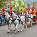 Leidens Ontzet 2017 – Parade – White horses
