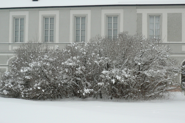 Winter At Schloss Nymphenburg