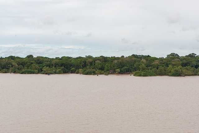 Amazonas-0350