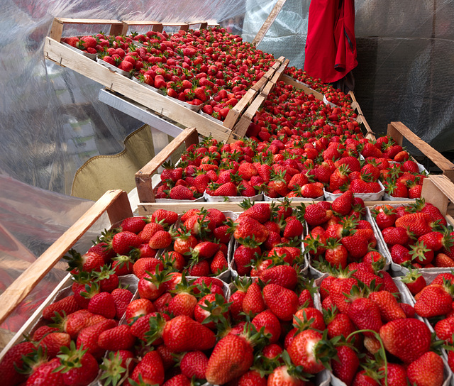 Erdbeeren in Freiburg