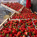 Erdbeeren in Freiburg