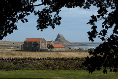 Lindisfarne Castle from the Abbey