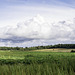 Panoramic view over Surrey fields