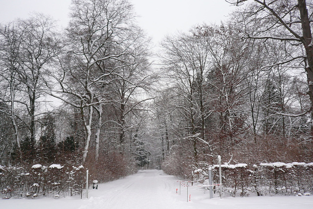 Schloss Nymphenburg Gardens In Winter
