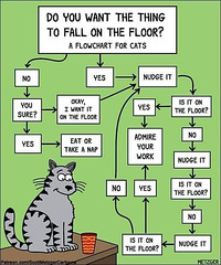 O&S(meme) - cat activity planning