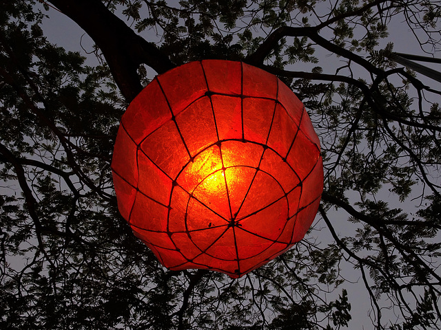 Darwin Festival lantern