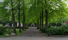 Berlin St Matthäus Kirchfriedhof (#0078)