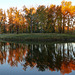 Fall reflections at Carburn Park
