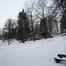 Baumgarten In Winter