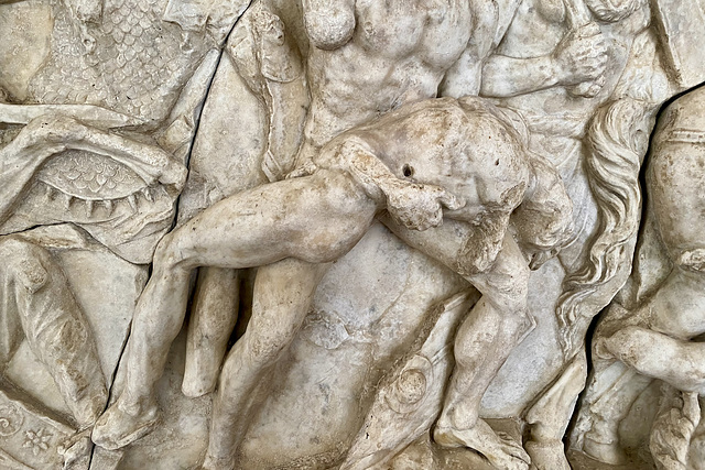 Mantua 2021 – Palazzo Ducale – Wounded Gaul carried by his comrades