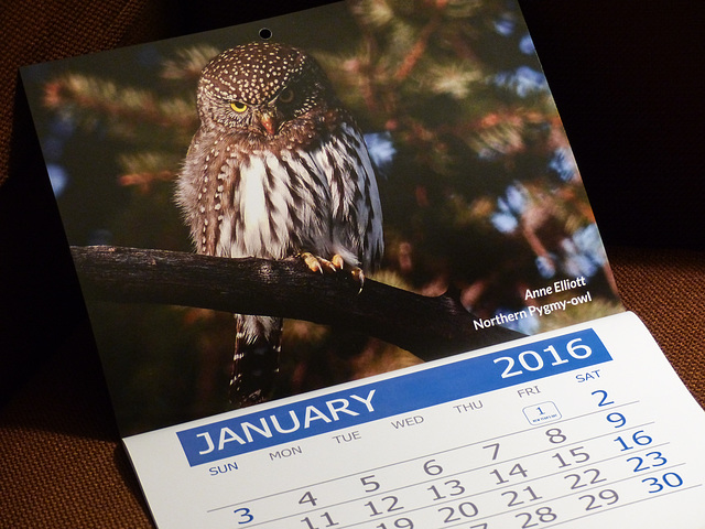 Nature Calgary 2016 calendar