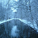 Schloss Nymphenburg Gardens In Winter