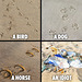 O&S(meme) - leave only footprints