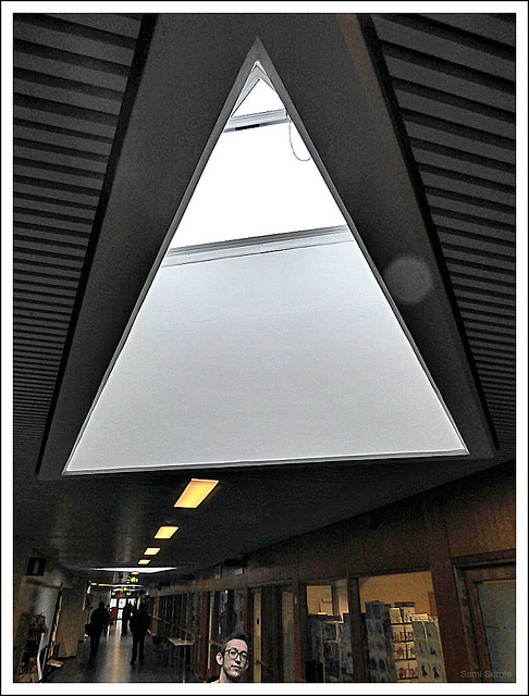 Triangular skylight window