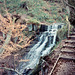Cleddon Falls (Scan from July 1991)