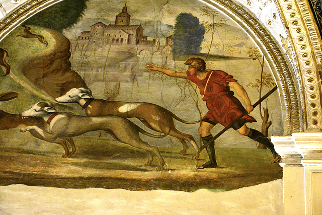 Mantua 2021 – Palazzo Ducale – Hunting with hounds