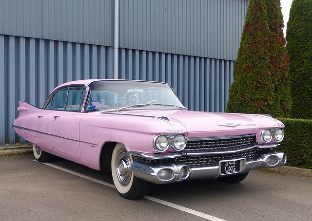 Pink Cadillac (1) - 23 October 2021