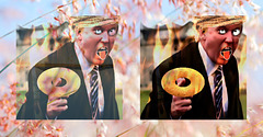 Diplomatic Doughnuts