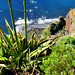 Madeira. Blick vom Cabo Girao zu den Terrassenfelder am Atlantik.   ©UdoSm