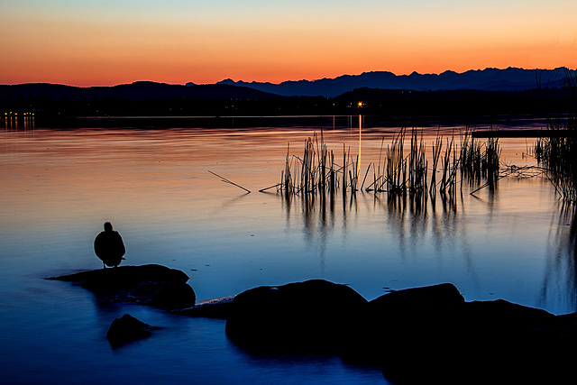 Angolo zen sul lago di Varese ...