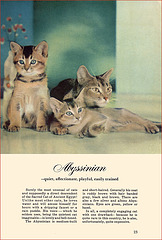 Kittens and Cats (7), 1957