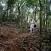 31 Radisson Long Jungle Trail