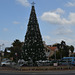 New Year Tree in Haifa