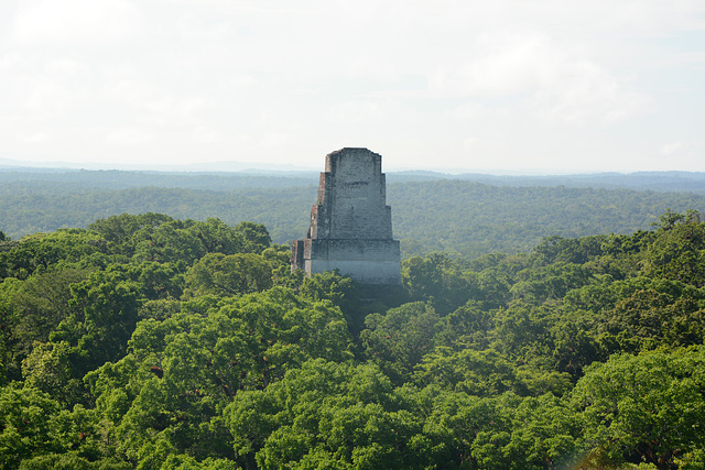 Guatemala, Tikal, Temple V from the Top of Temple IV