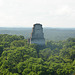 Guatemala, Tikal, Temple V from the Top of Temple IV