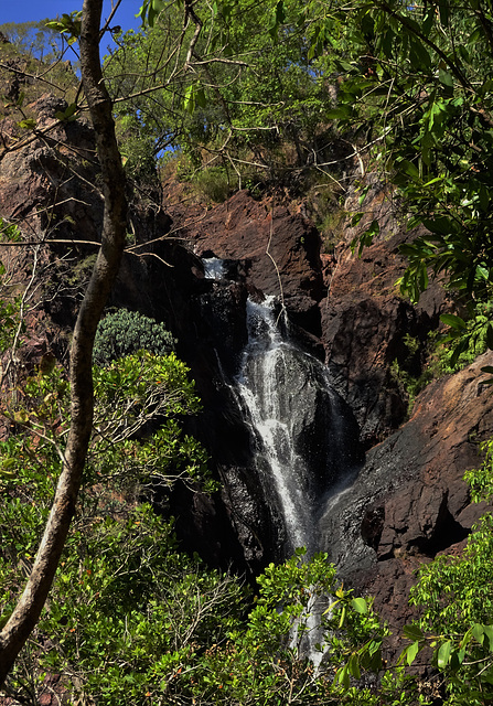 Wangi Falls 4