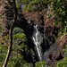 Wangi Falls 4