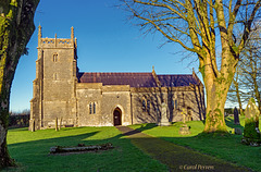 Church of St Laurence, Priddy  (PiPs)