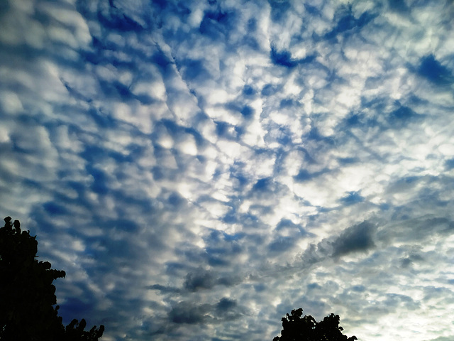 Nubes del amanecer, 1