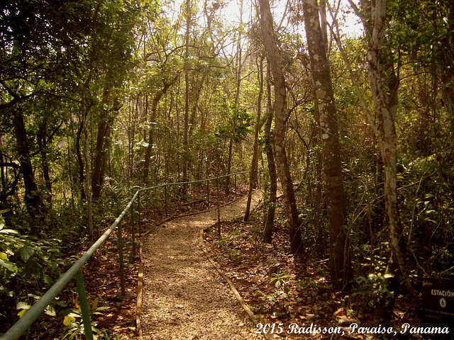 22 Short Jungle Trail To Butterfly Flight