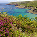 Zennor Coast, Cornwall, at low tide