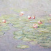 Detail of Water Lilies by Monet in the Boston Museum of Fine Arts, January 2018