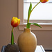 Two tulips, winter