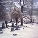 Graveyard in infrared